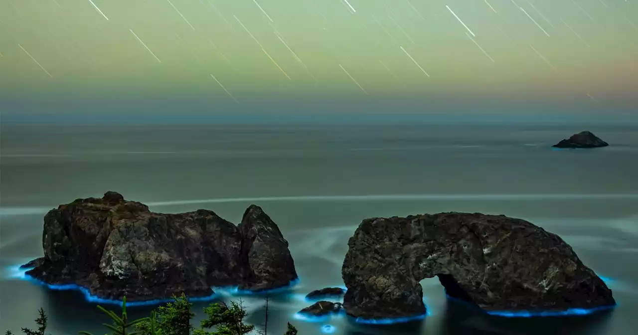 Photos of Bioluminescent Rocks Glowing off the Coast of Oregon