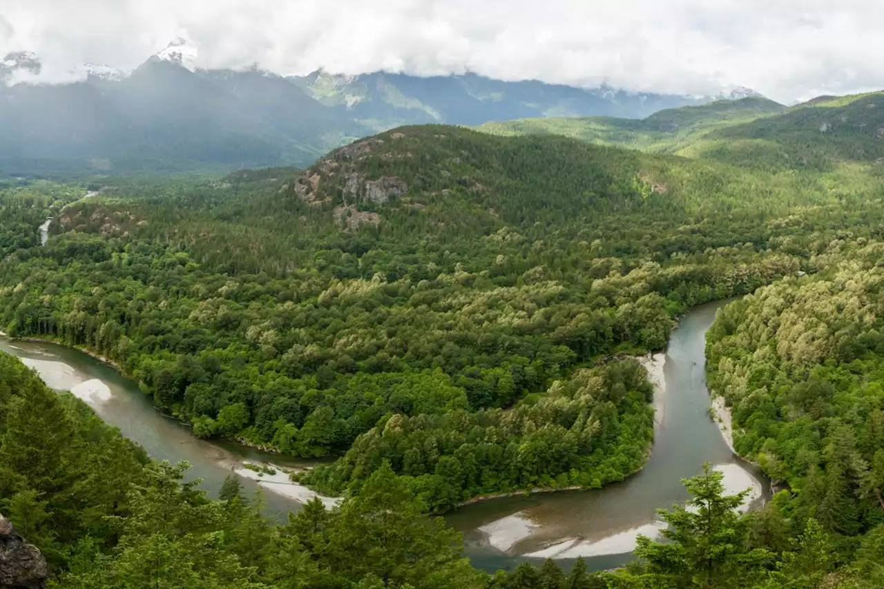 Squamish Nation to increase monitoring of Squamish Valley for rest of summer