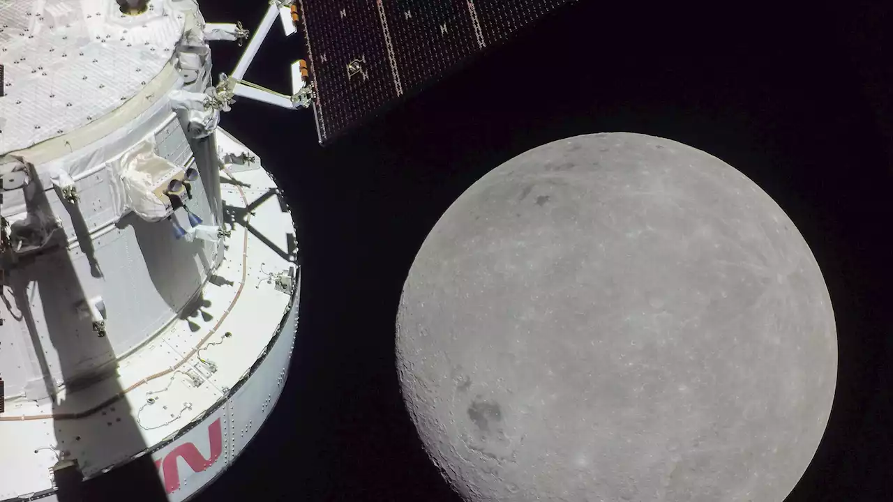 You might be able to plant a tree from seeds NASA flew by the moon