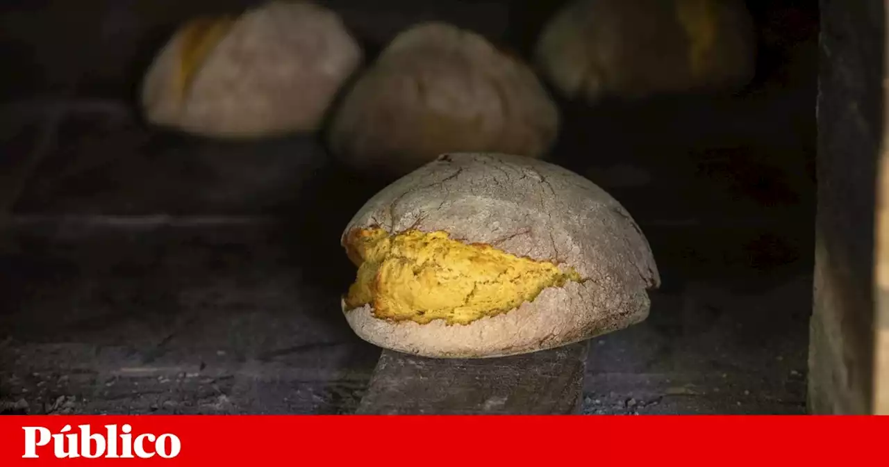 Consumo de broa de milho continua desaconselhado em Leiria, Santarém, Coimbra e Aveiro