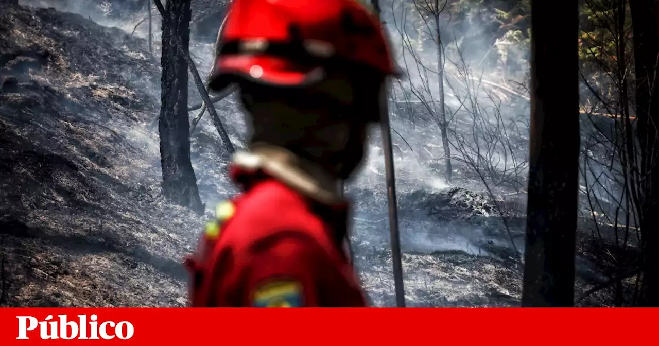 Mais de 100 concelhos de 13 distritos em perigo máximo de incêndio