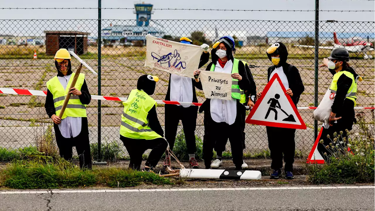 Sylt: Aktivisten in Pinguinkostümen wollen Flughafen blockieren