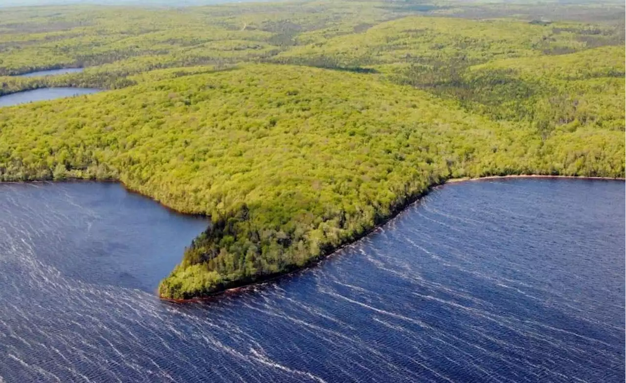 Nova Scotia picks Guysborough Wilderness Area over open-pit gold mine: Sources