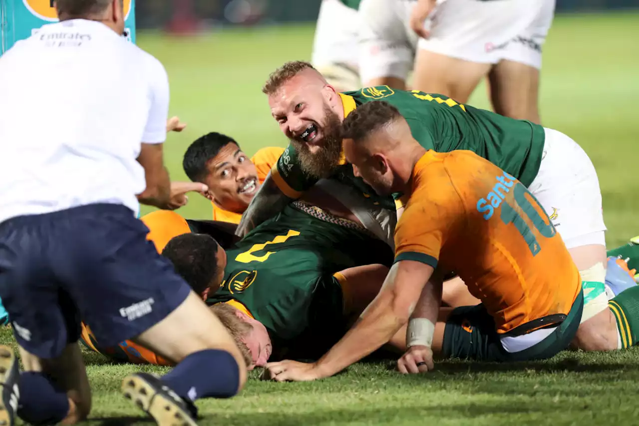 Bok bench to rip apart All Blacks