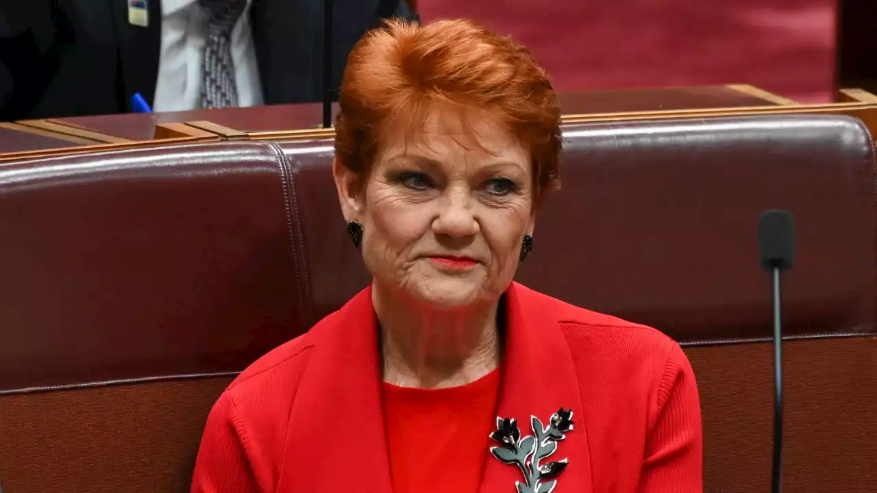 Pauline Hanson’s advice to Donald Trump following mug shot