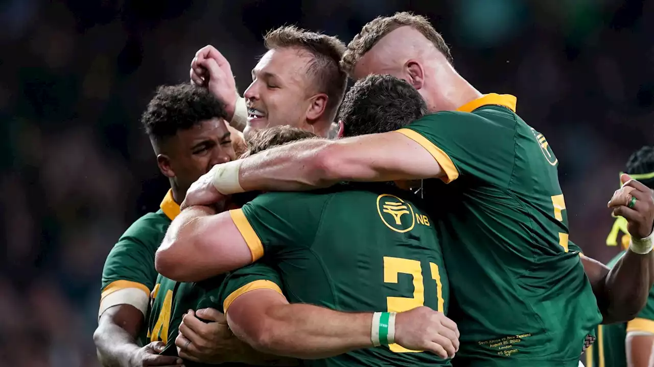 New Zealand 7-35 South Africa: World champion Springboks dominate 14-man All Blacks