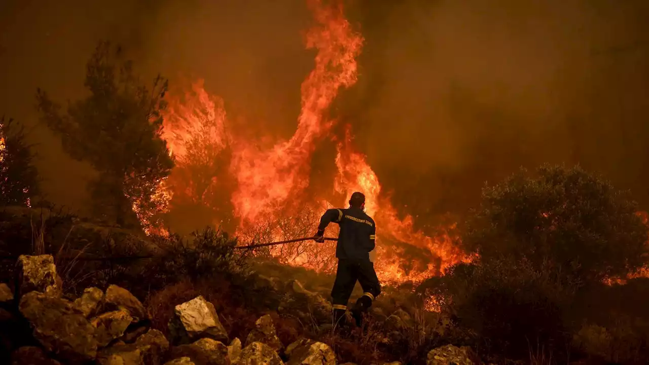 Eines der wichtigsten Schutzgebiete Europas steht in Flammen: Was das für die Natur bedeutet