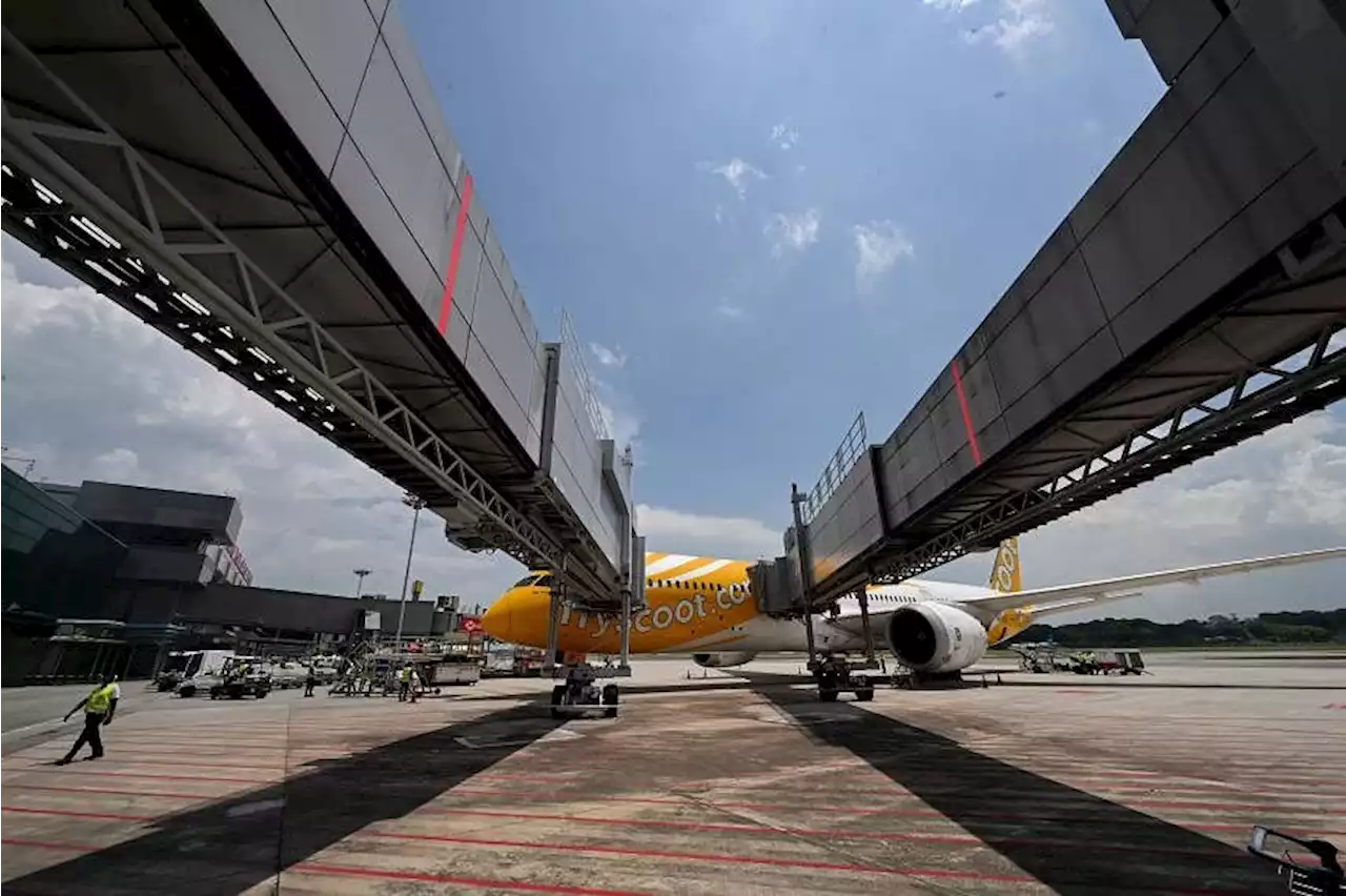 Changi Airport trials fully automated aerobridge docking to improve safety and efficiency