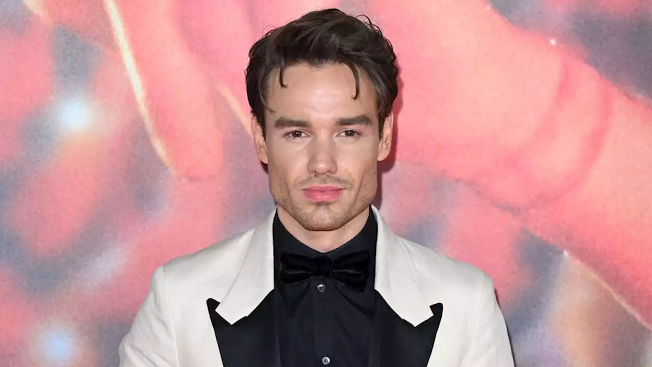 Liam Payne Postpones South America Tour Due to “Serious” Kidney Infection