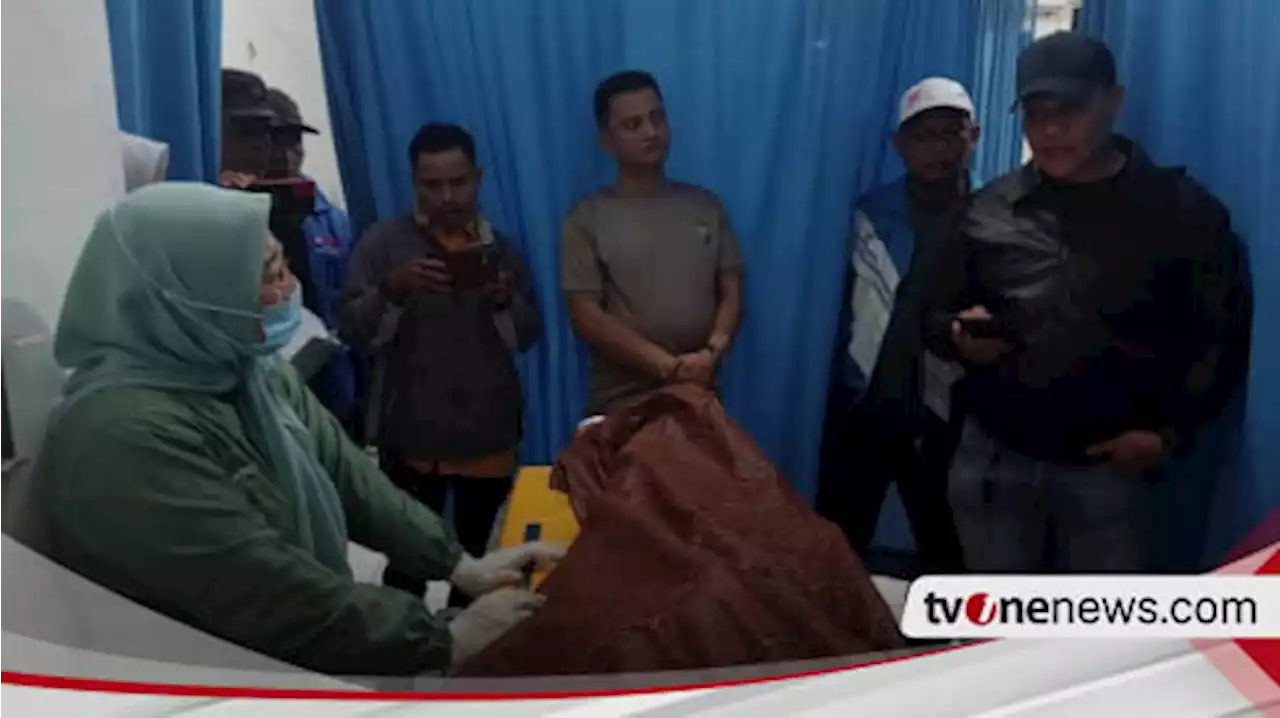 Pria Tewas Tertembak Senapan Angin Saat Berburu Babi Hutan di Paluta