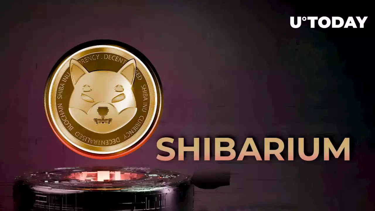 Shiba Inu Developer Gives Important Clarification as Shibarium Goes Live