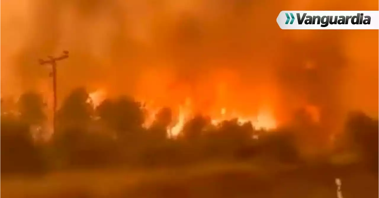 Video: Al menos 21 víctimas mortales ha cobrado el fuego en Grecia