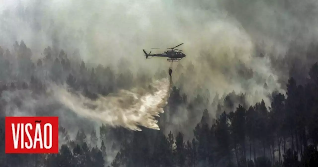 | Incêndio no Fundão obriga ao corte da linha da Beira Baixa e da EN 18