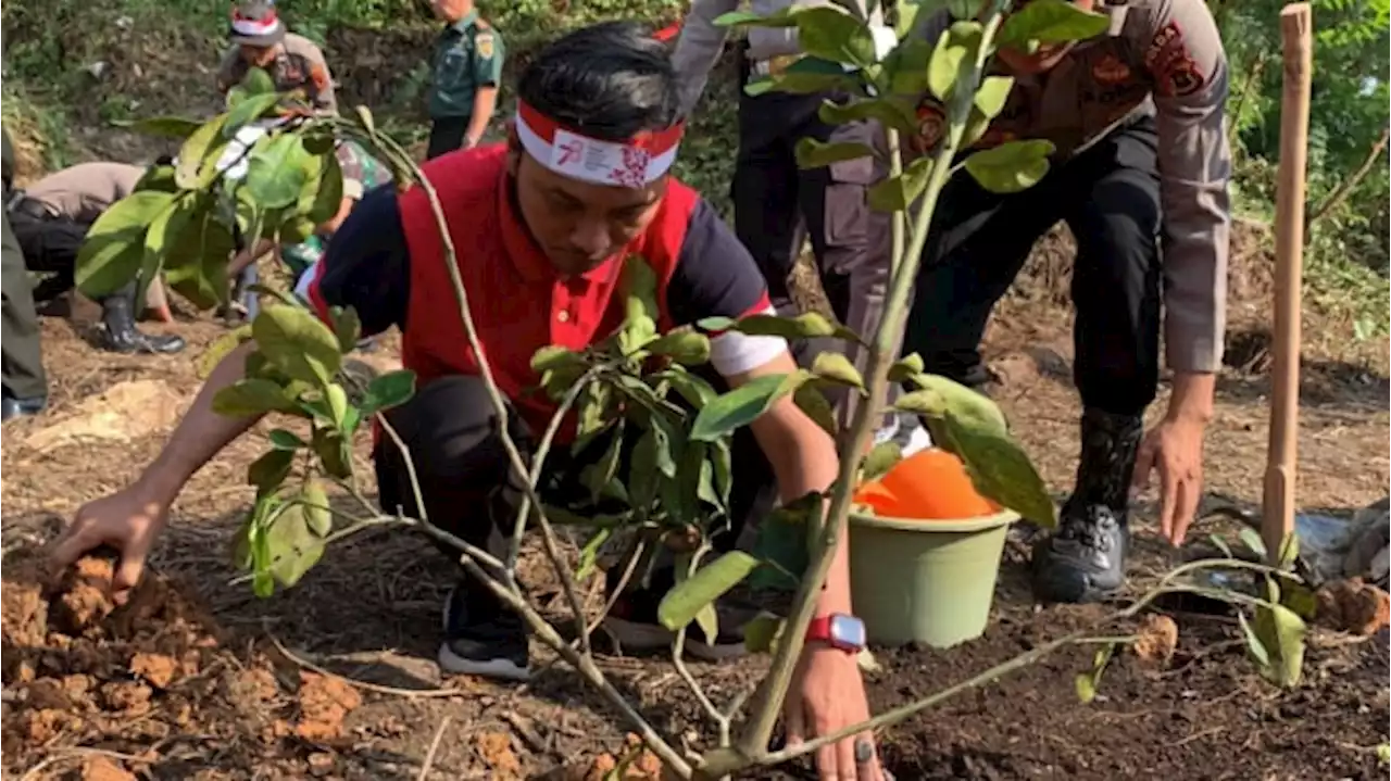 Tanam Pohon, Ketua DPRD Edi Purwanto: Kampanyekan Penghijaun Sejak Dini