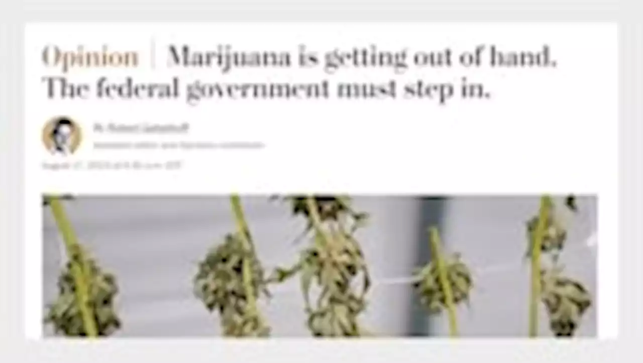 | Readers react to a column calling for federal marijuana regulation