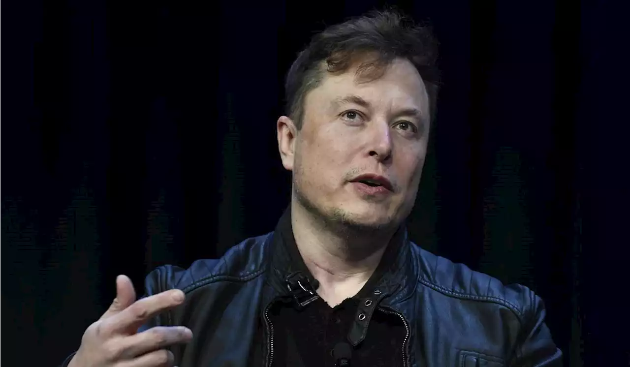 Musk cheers Trump’s Twitter return, slams Biden’s Justice Department going after SpaceX