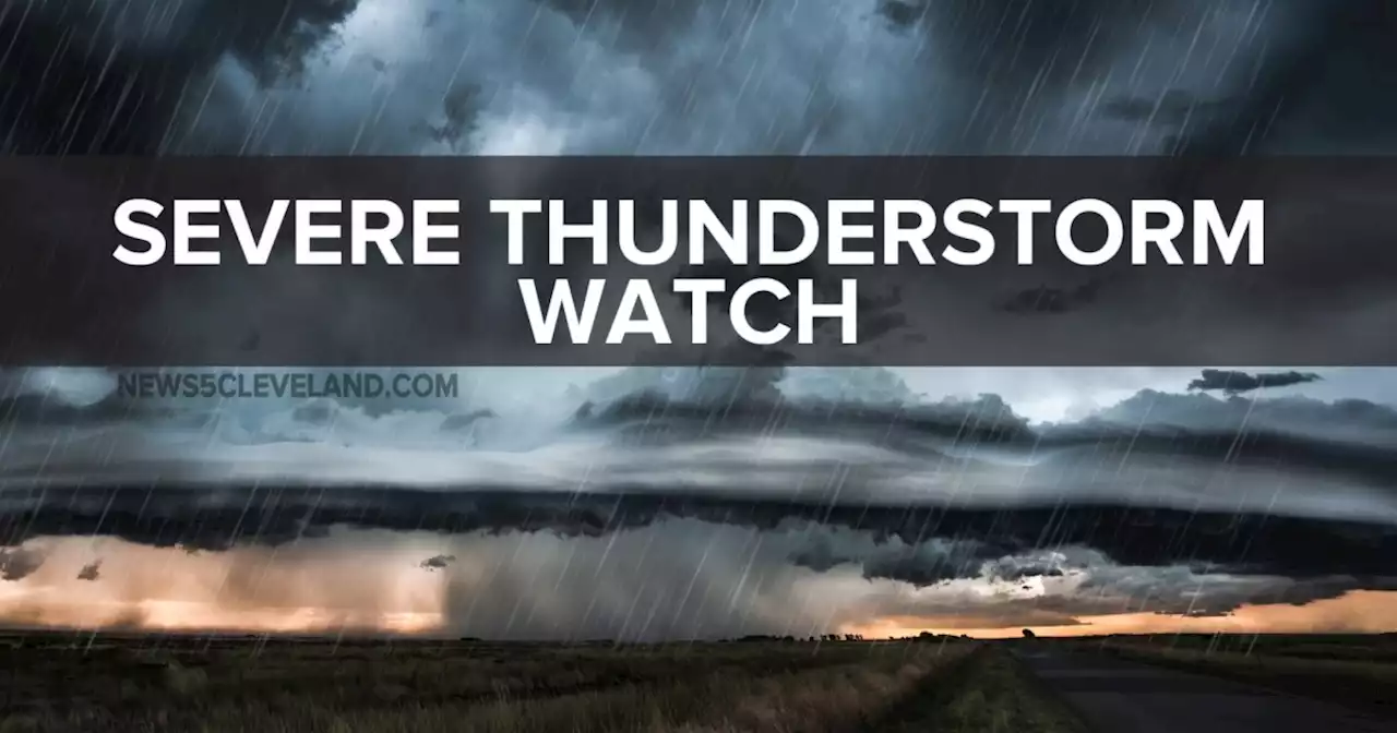 Severe Thunderstorm Watch issued for 17 Northeast Ohio counties