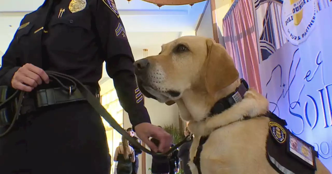 SDPD K-9 comforts victims being interviewed by Child Abuse Unit