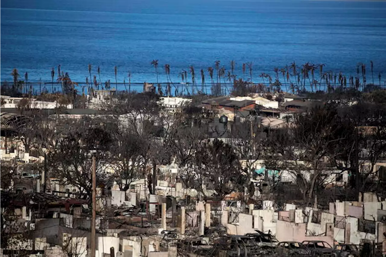 Biden aggiornato sulla ricerca dei 388 dispersi alle Hawaii - Ultima ora