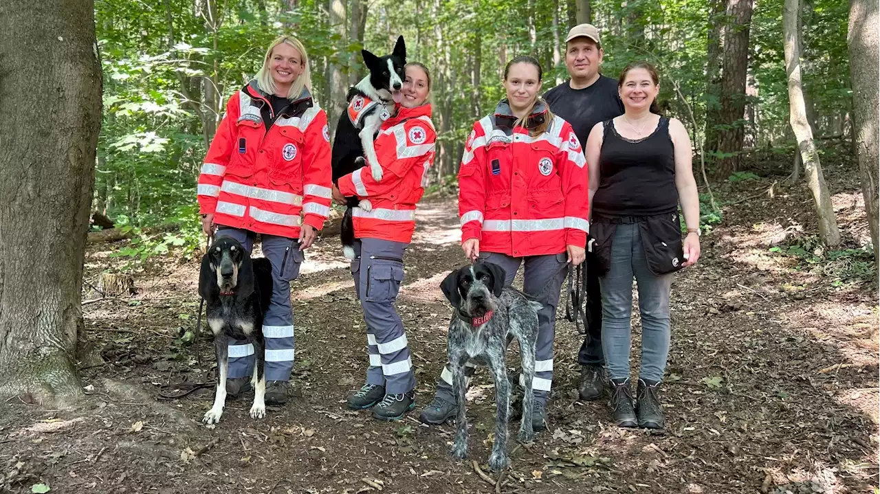 Hundestaffel: BRK Bayreuth sucht 'Helfer ohne Hund'