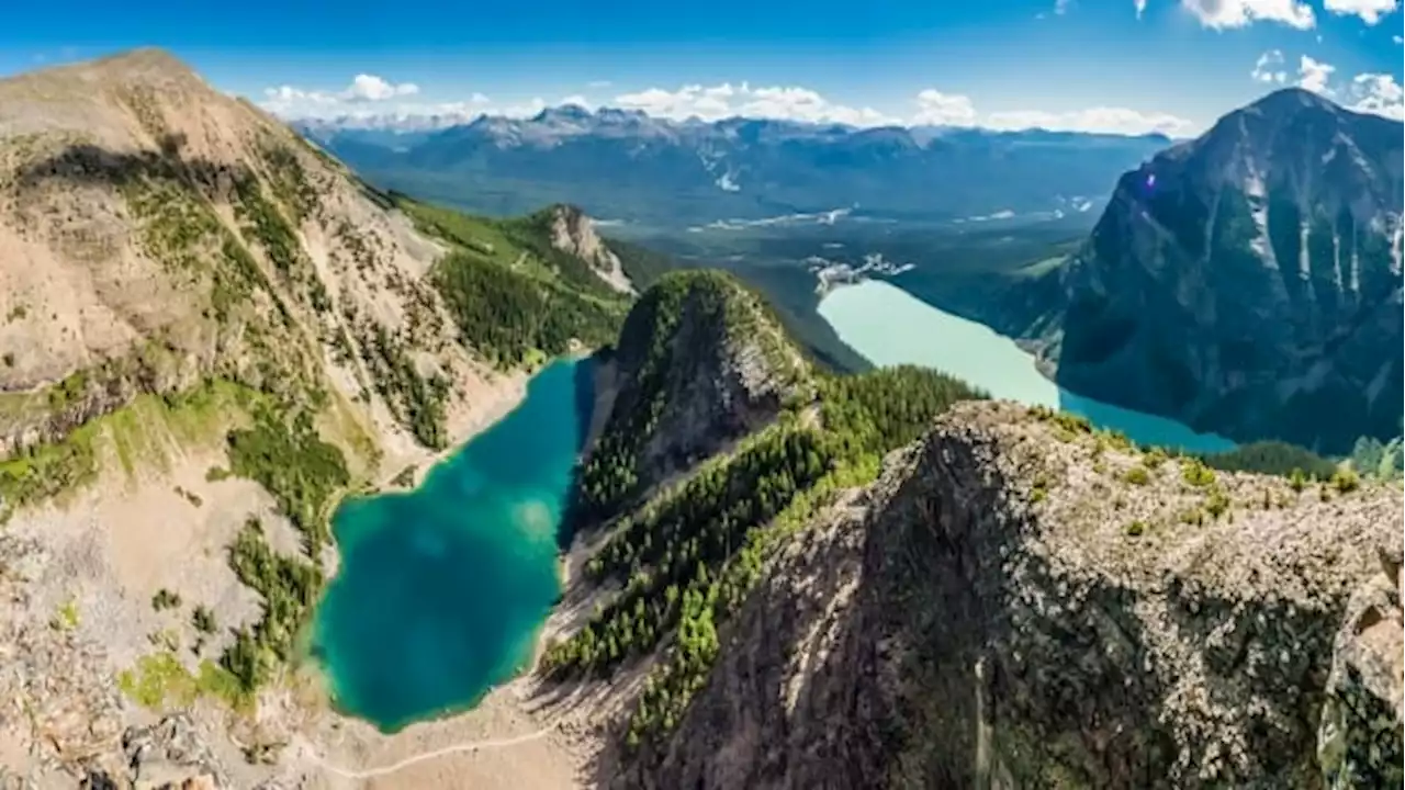 Canada's lakes are becoming less blue — but that could be good for fish