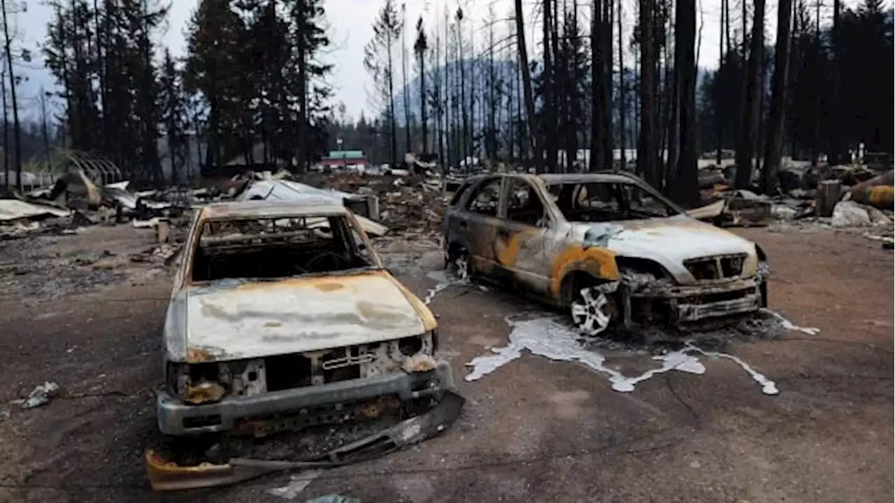 131 structures destroyed by wildfires in B.C.'s Shuswap region, officials say