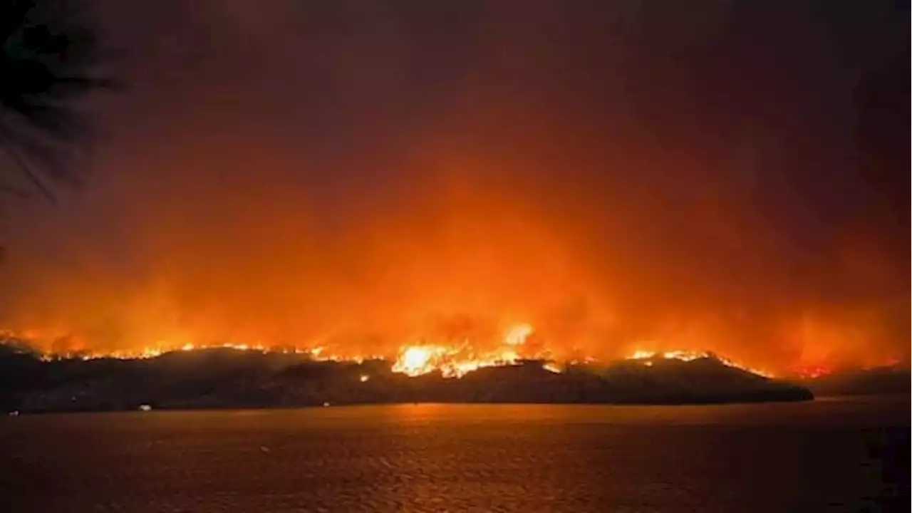 Kelowna residents from Thunder Bay say wildfire was 'like an apocalypse'