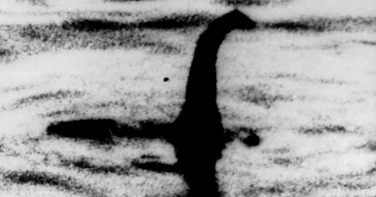 With drones and webcams, volunteer hunters join a new search for the mythical Loch Ness Monster