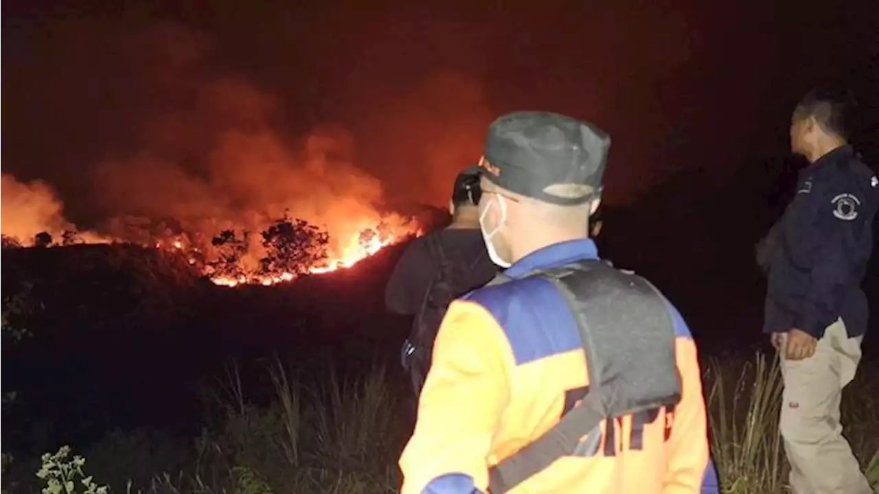 Petaka Kemarau, 1.978 Ha Hutan di Wilayah RI Ini Kebakaran