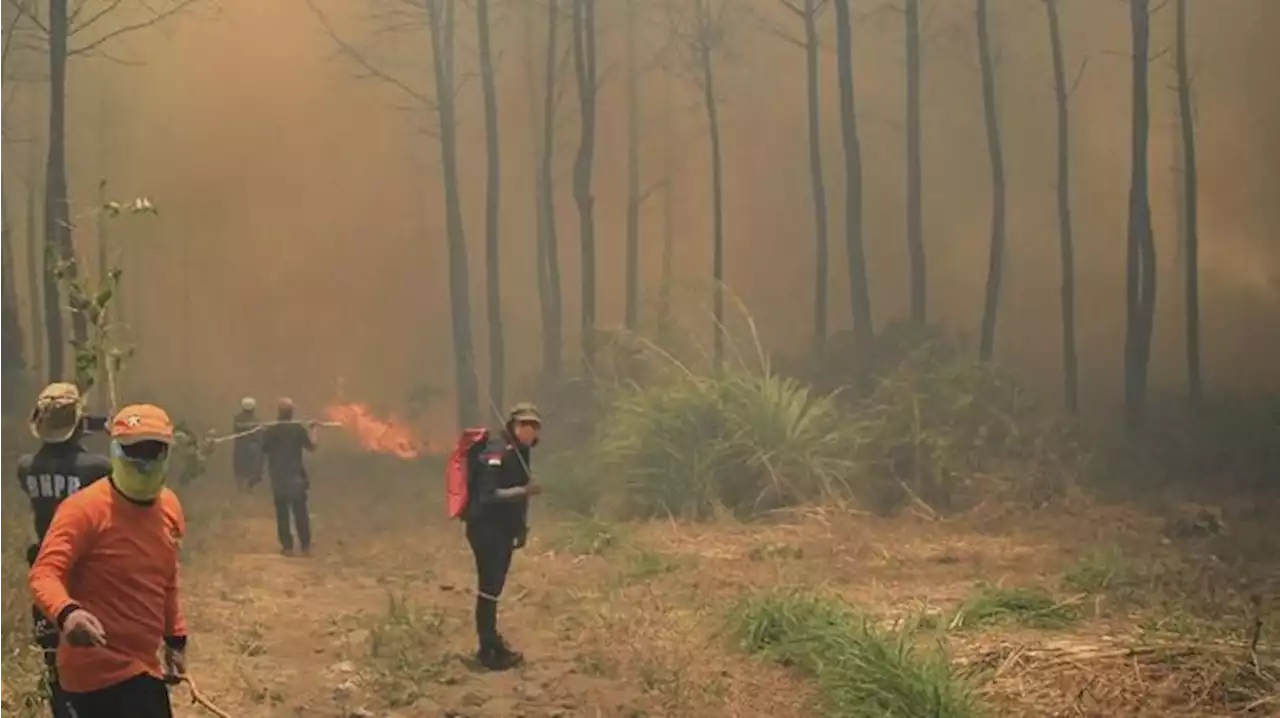 Kebakaran Hutan Gunung Cermai Jabar Capai 102 Hektare