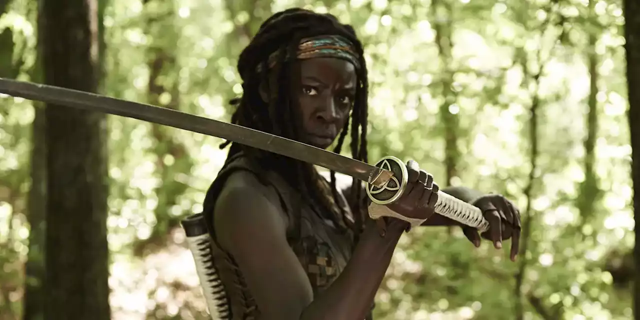 'The Walking Dead's Michonne Strikes a Pose in New Diamond Select Figure