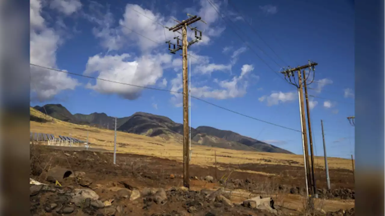 Bare electrical wire and leaning poles on Maui were possible cause of deadly fires