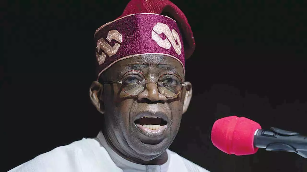 Niger coup: War not ideal for Nigeria's economic reforms - Tinubu tells US Envoy