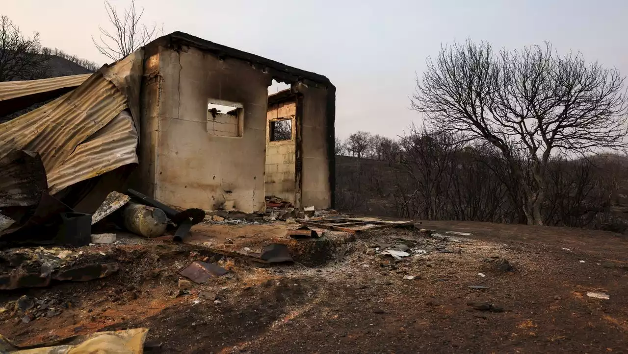 Gerichtsmediziner spricht über Leichenfund nach Waldbrand in Griechenland