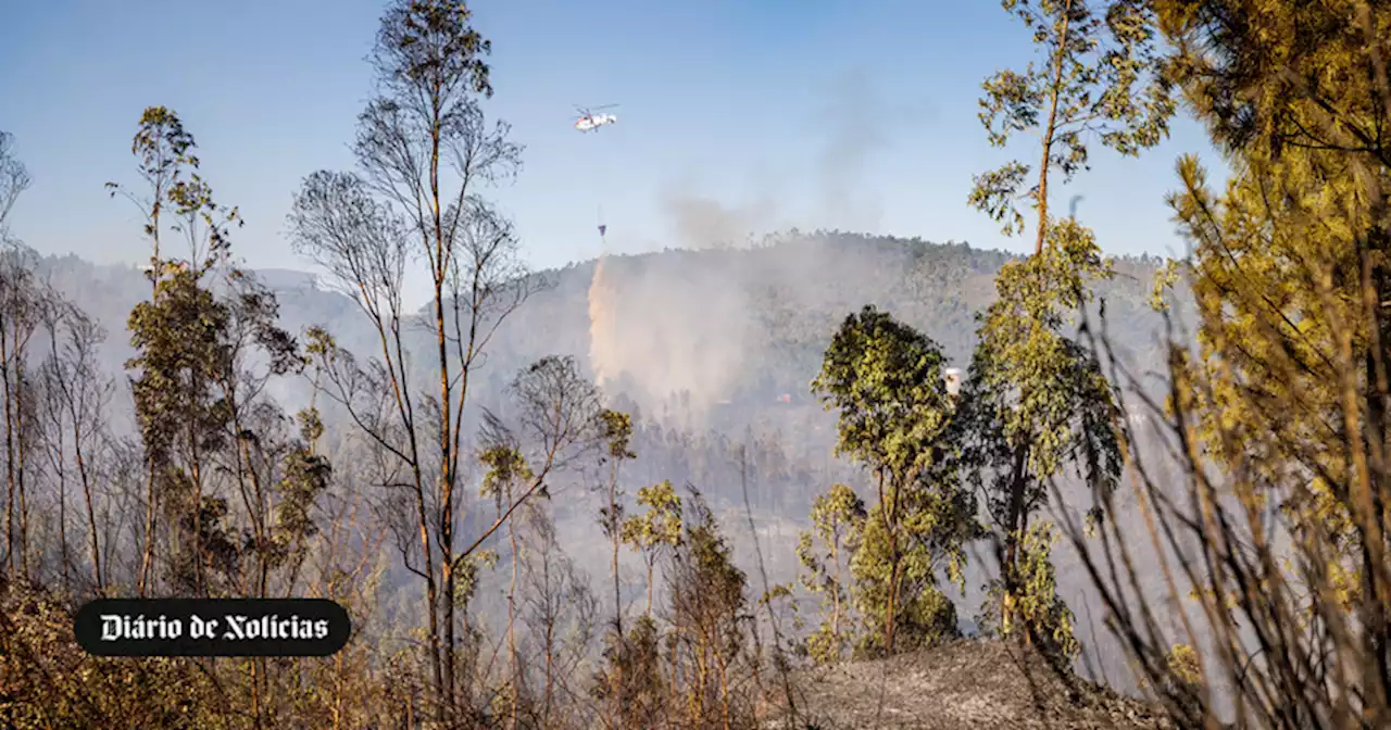 Cerca de 100 concelhos em perigo máximo de incêndio