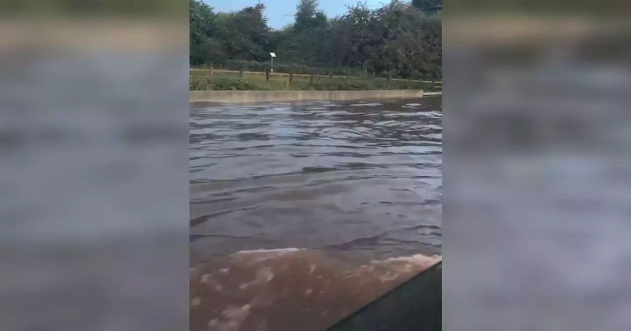 Incredible footage shows Switch Island submerged after flooding