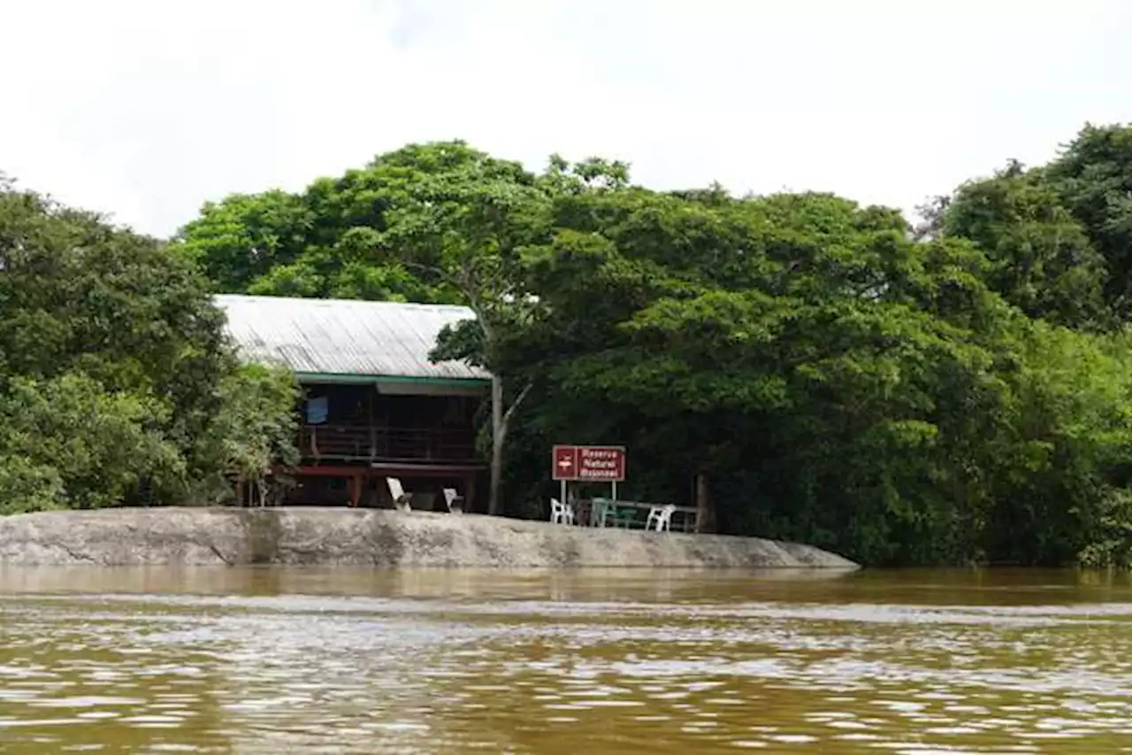 La mina de “tierras raras” que quieren hacer frente a un refugio de biodiversidad