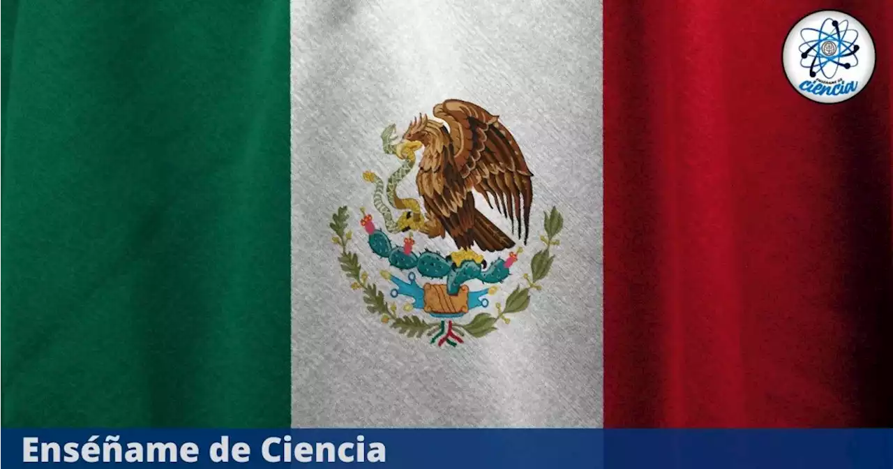 ¿Qué significa la palabra “chela”, que tanto se usa en México?