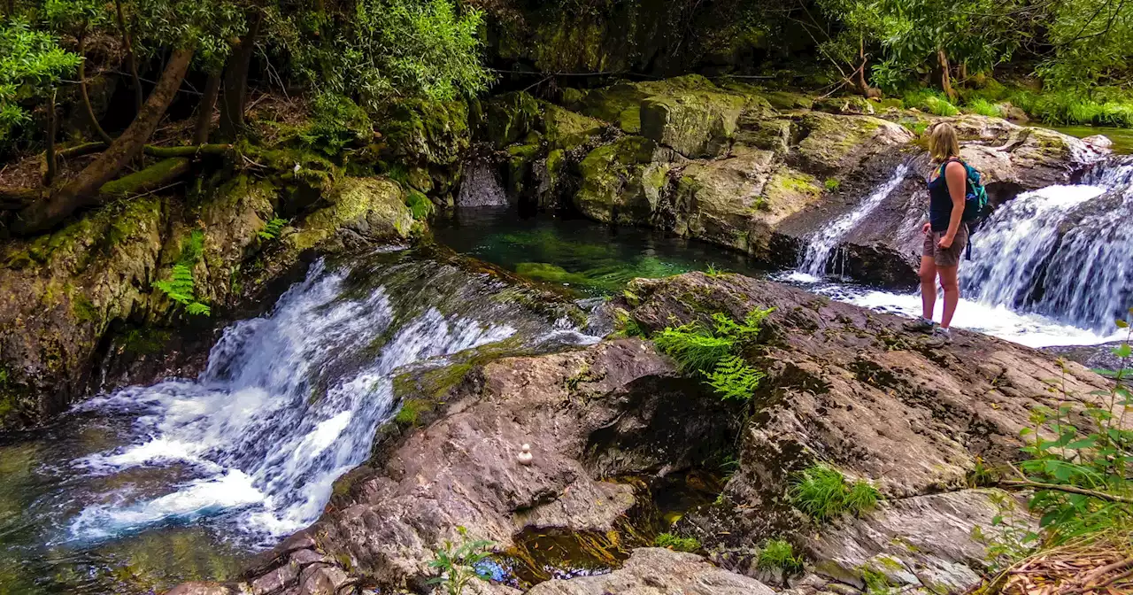 Festival sustentável convida a descobrir sete paisagens e tradições do Minho