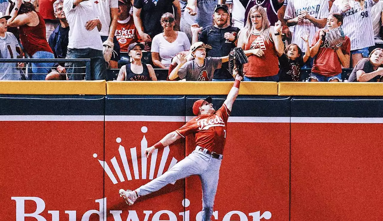 'MVP!' Fans serenade kid after he steals potential home run ball from Reds OF