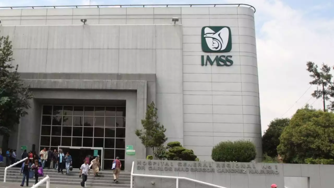 Combate contra el dengue en México: IMSS propone estas medidas para prevenir la enfermedad