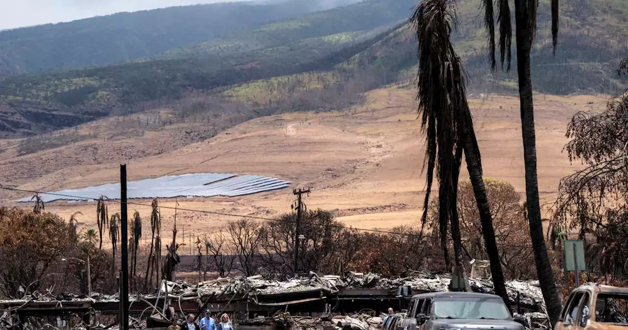 Maui officials release list of 338 missing after wildfire