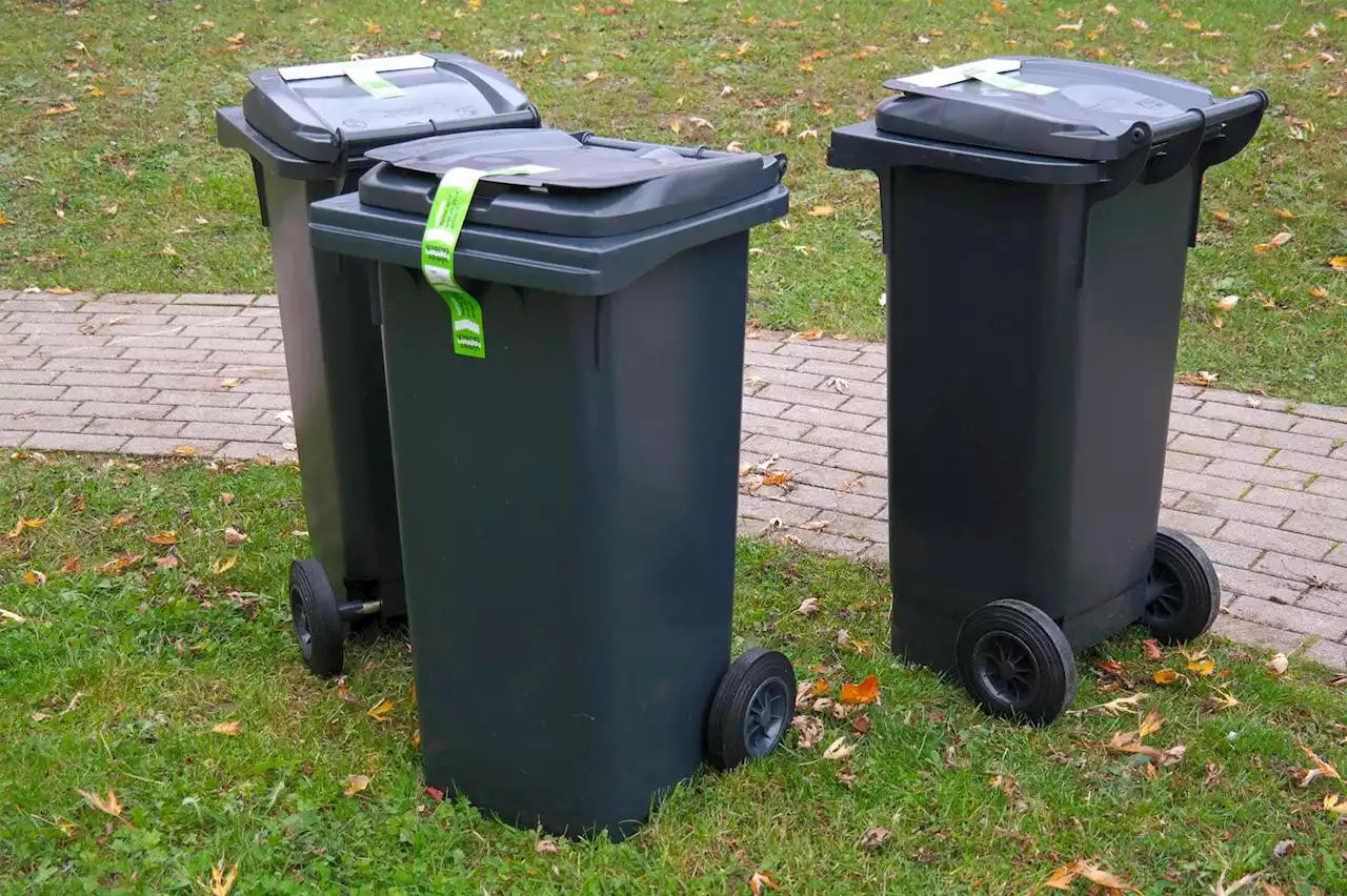 Cette arnaque cible vos poubelles : comment font les escrocs pour voler de l'argent ?