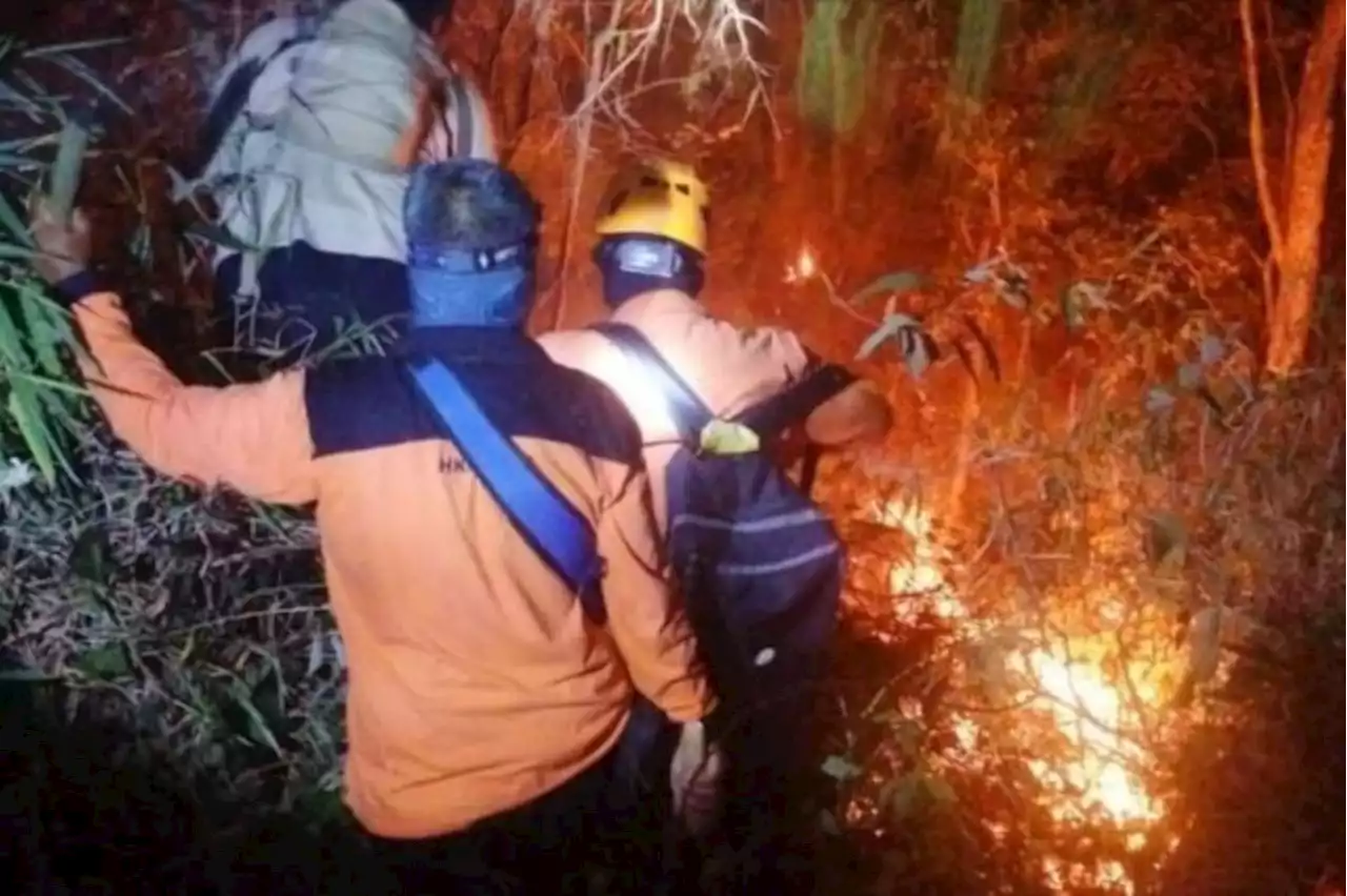 Kebakaran Hutan Melanda Kawasan Gunung Ciremai, Ratusan Petugas Diturunkan untuk Menjinakkan Api