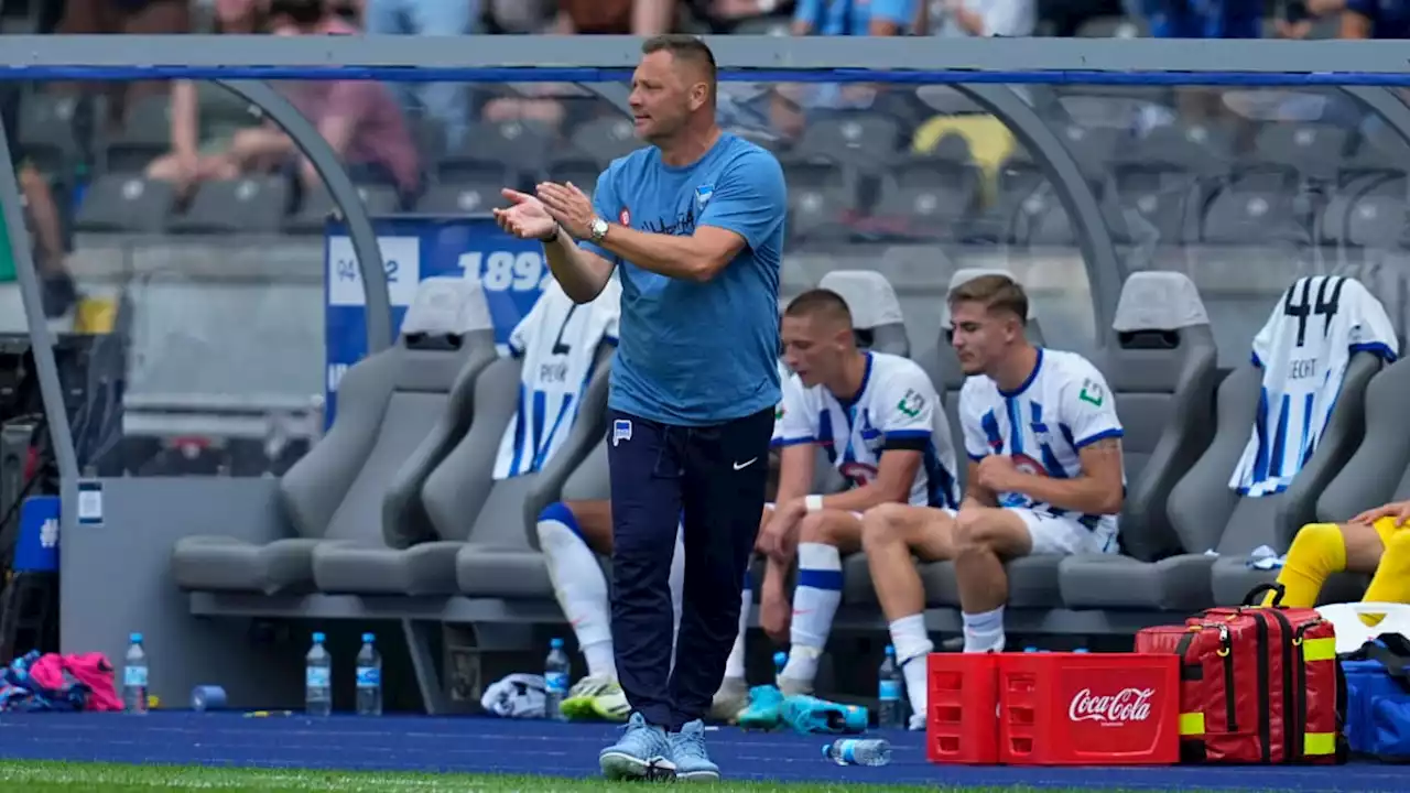 'Aus dem Nichts kommt so etwas nicht': Hertha-Gala für Dardai keine Überraschung