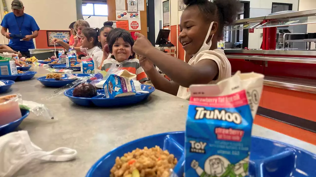 Schoolkids in 8 states can now eat free school meals, advocates urge Congress for nationwide policy