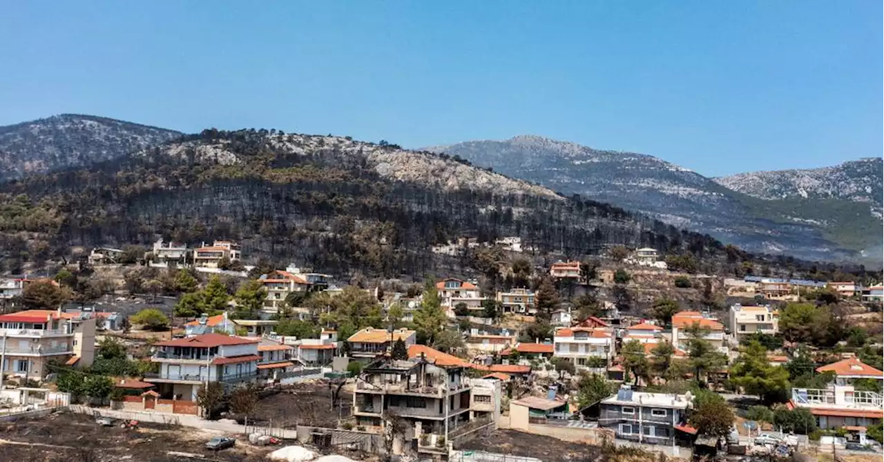 Les poumons verts de la Grèce brûlent et avec eux leur biodiversité