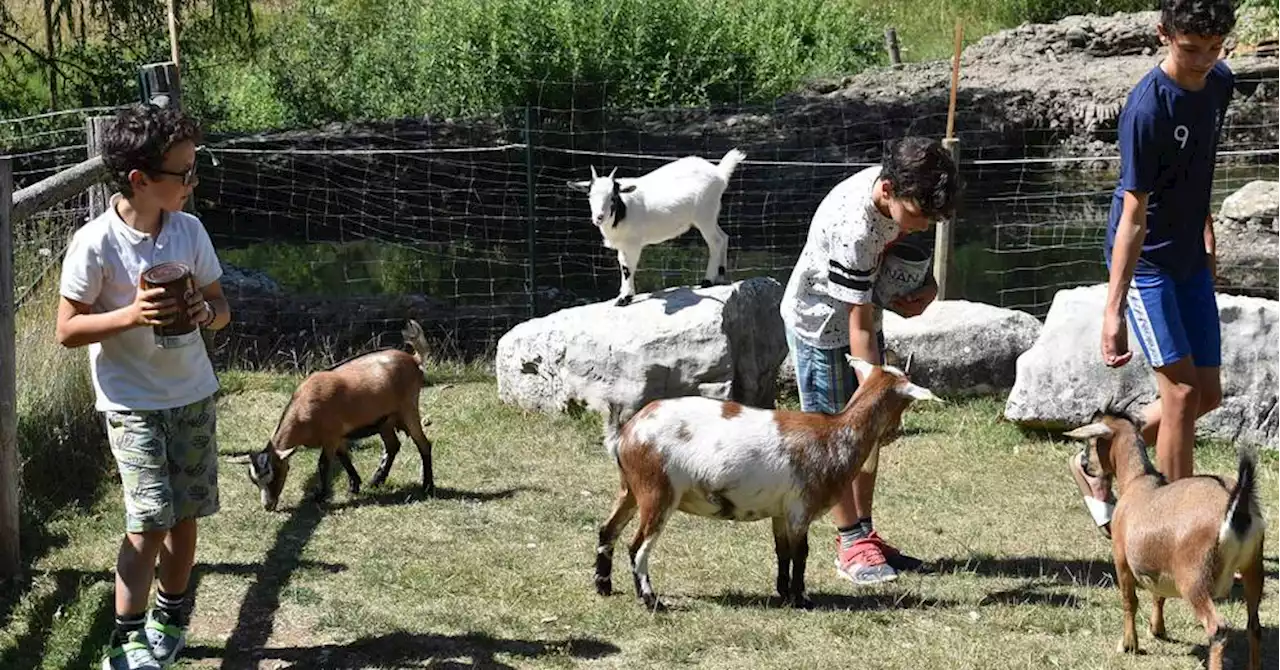 Saint-Geniez : immersion dans La Vallée Sauvage au plus près des animaux