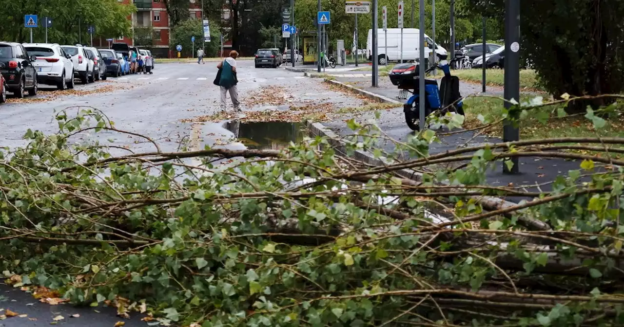 Milano, nubifragio choc: cadono gli alberi e volano i tetti, cosa succede