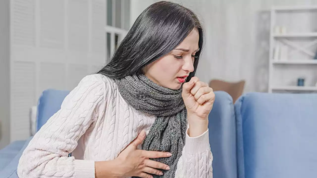 Mengenal Pneumonia, Penyakit Radang Paru yang Kasusnya Meningkat saat Kualitas Udara Buruk